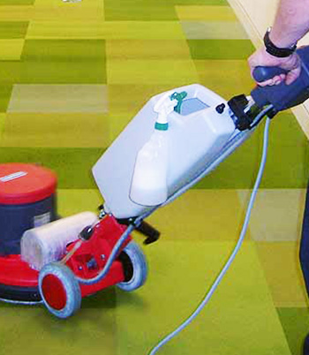 Specialist Restoration Services for Carpet